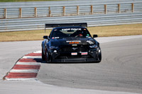 NG8A7148
