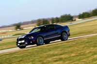 Car-Shellby-Blue