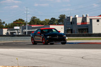 NG8A0105