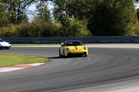 NG8A0011