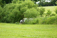20150620-256A73541010ths