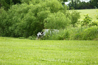 20150620-256A73561010ths