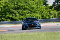 car-mustang-cobra-blue-77