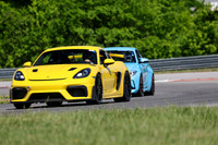 NG8A3624