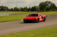 Red C81-12