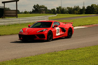 Red C81-13