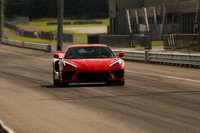 Red C81-4