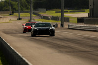 Red C81-3