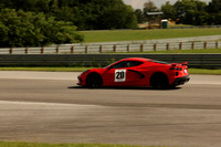 Red C81-9