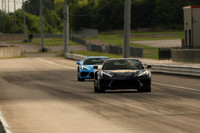 blue C81-2