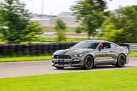 car-mustang-cobra-grey