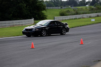 Black Mustang Cobra