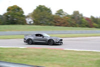 Mustang Gray