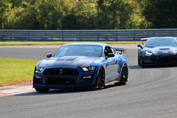 car-mustang-blue-77