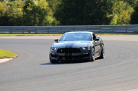 car-mustang-rey-28