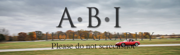 20151024-ABI293051010thsPutOct