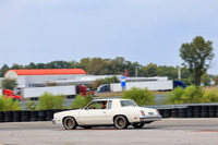 NG8A2085