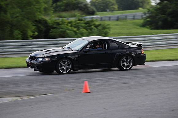 Black Mustang Cobra-2