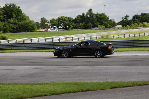 Black Mustang Cobra-6