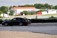 Black Mustang Cobra-5