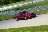 CAR-MUSTANG-BURG
