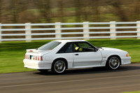 CAR-5.0-WHITE