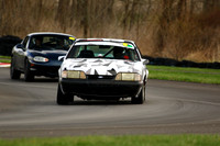 CAR-5.0-WHITE