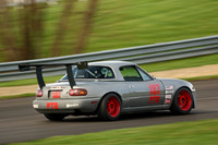 CAR-187-GRAY