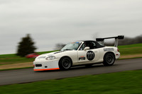 CAR-231-WHITE
