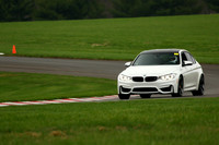 CAR-MISTY-WHITE