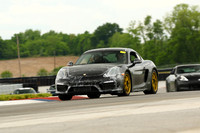 256A9119