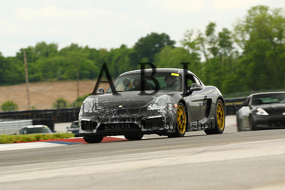 256A9119