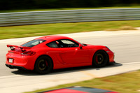 256A9917