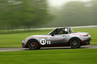 CAR-41-GRAY