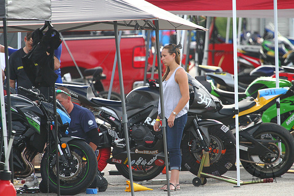 ABI29781