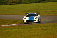 CAR-VIPER-WHITE