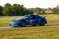 CAR-19-BLUE