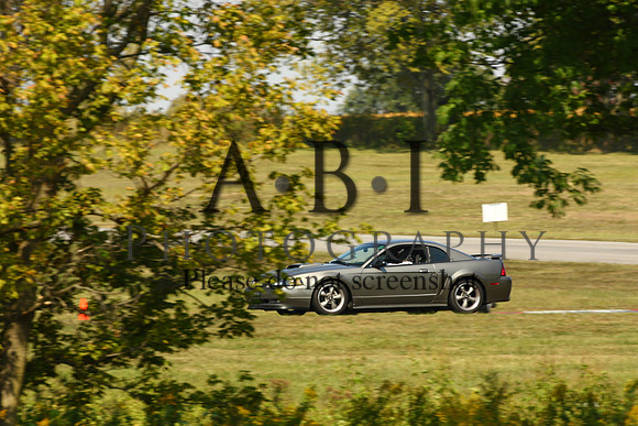 256A1131