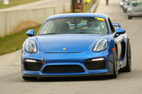 CAR-19-BLUE