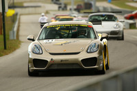 CAR-41-GOLD