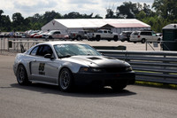 55 Grey and Black mustang-5