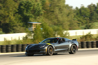 CAR-CORVETTE-GRAYYELLOWSTRPS