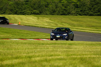 20190518-BQ5I3428