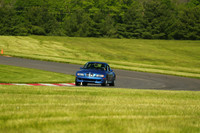 20190518-BQ5I3363