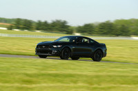 20190518-BQ5I3311
