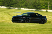 20190518-BQ5I3411