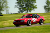 20190518-BQ5I3628