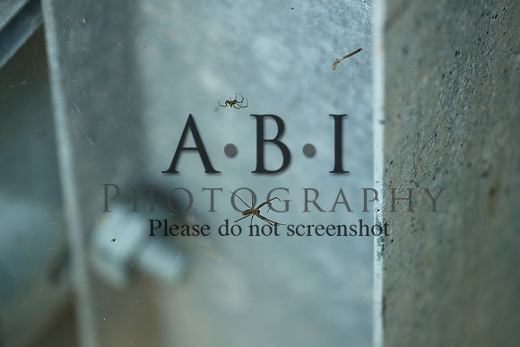 20190630-BQ5I3856