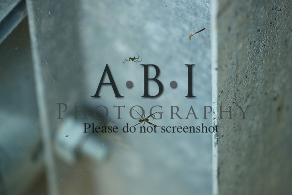 20190630-BQ5I3858-2
