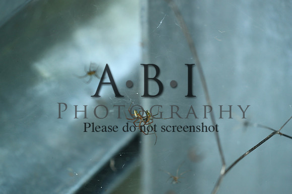 20190630-BQ5I3859-2